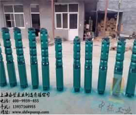 QJ系列深井潛水電泵250QJ50-33/2