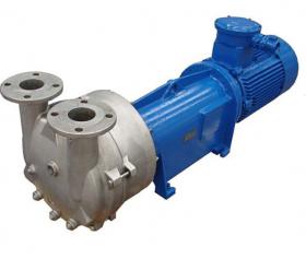 2BV系列水環(huán)式真空泵2BV2060